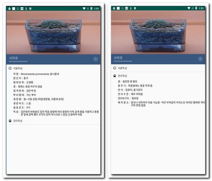 사마로 화초 이름 찾기