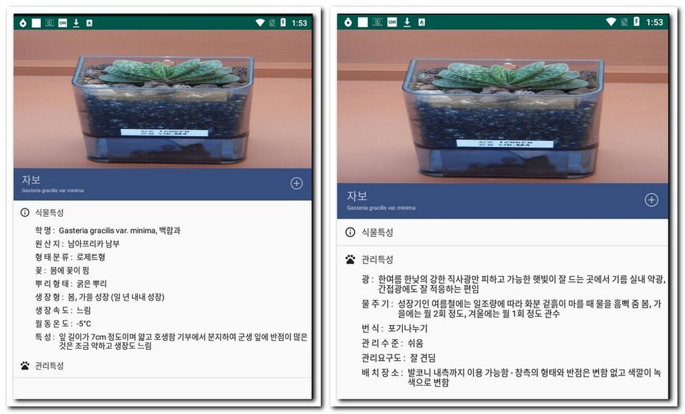 자보 화초 알아보기